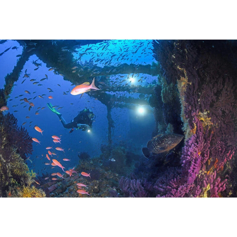 Combinaison Plongée Semi-étanche Femme Néoprène 7mm - Bleu Gris 4 Combinaison Plongée Semi-étanche Femme Néoprène 7mm - Bleu Gris – Image 2