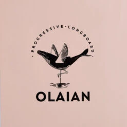 LONGBOARD 900 9'4" 74 L . Livré Avec 1 Aileron 10". 18 LONGBOARD 900 9'4" 74 L . Livré Avec 1 Aileron 10". -Plongée Série Magasin longboard 900 94 74 l livre avec 1 aileron 10 6