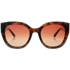 Lunettes De Soleil KOME Marron Foncé, Polarisés MARRON - Cat.3 - MUNDAKA 6 Lunettes De Soleil KOME Marron Foncé, Polarisés MARRON - Cat.3 - MUNDAKA -Plongée Série Magasin lunettes de soleil kome marron fonce polarises marron cat3 mundaka 1